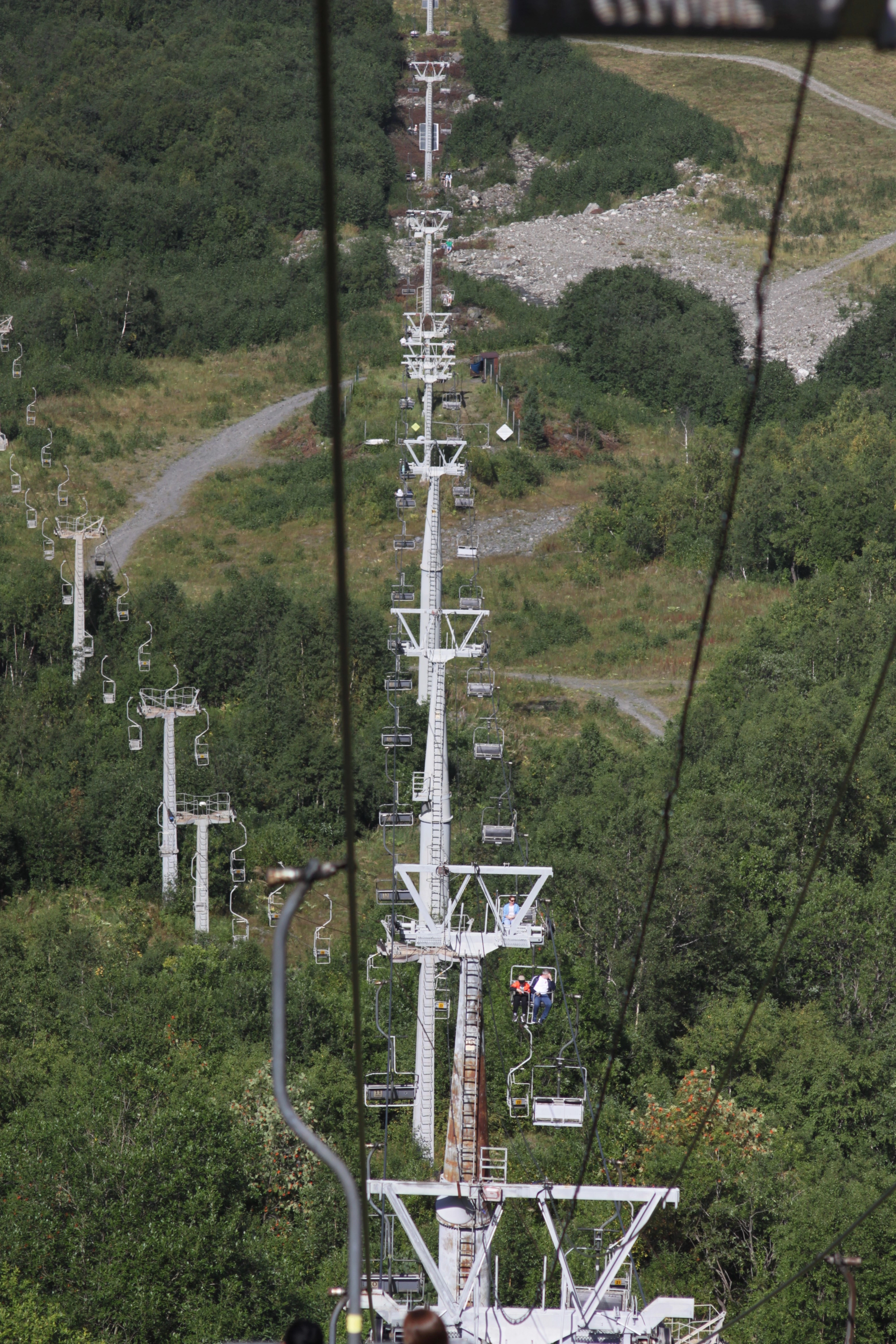 Цейский ледник